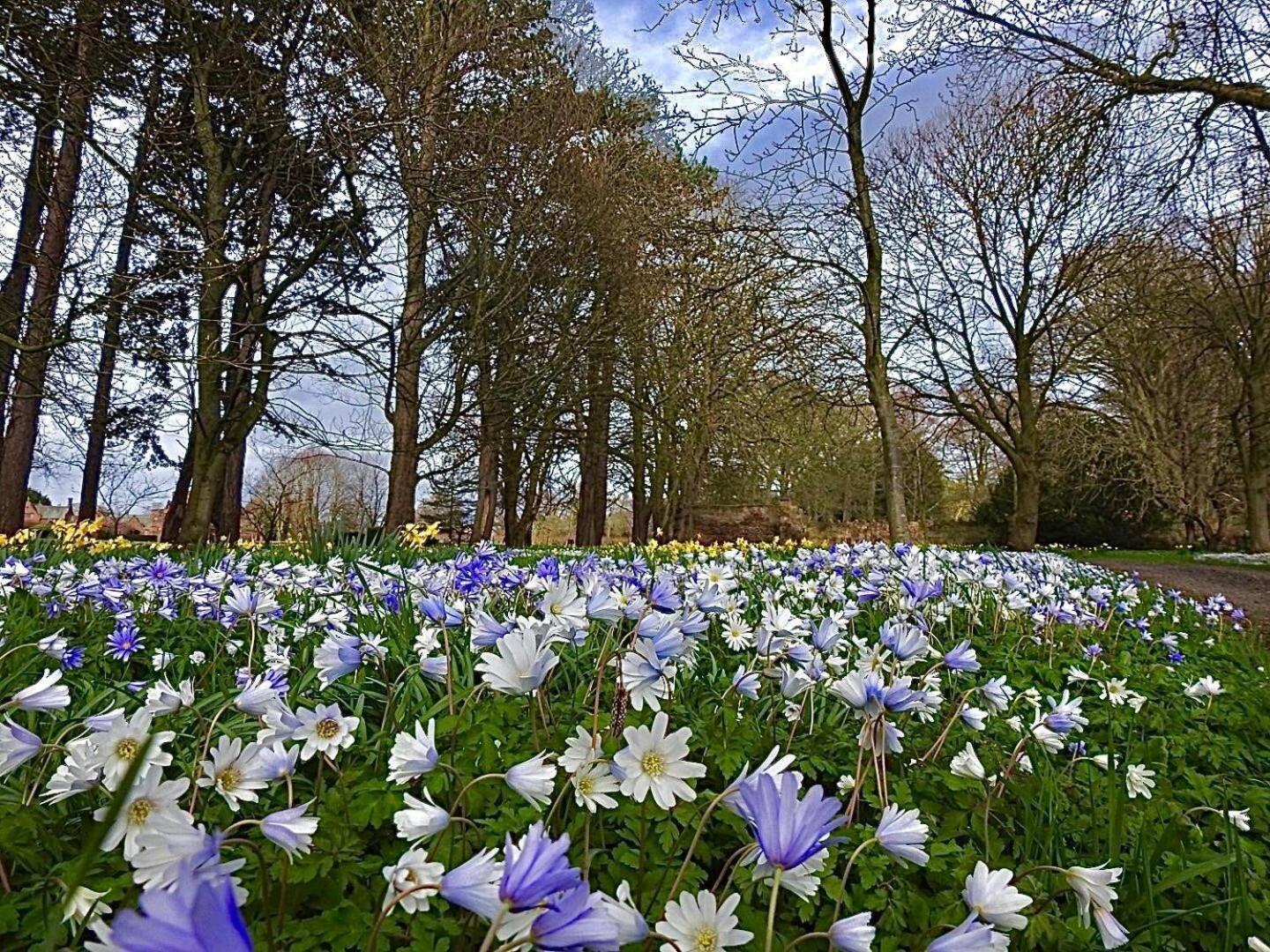 Thornton Manor - Holiday Cottages And Apartments Heswall Quarto foto